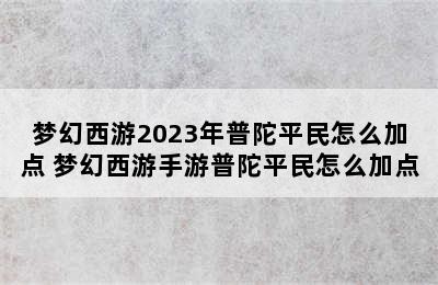 梦幻西游2023年普陀平民怎么加点 梦幻西游手游普陀平民怎么加点